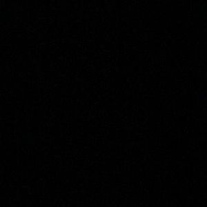 Meet your Posher, Tatum